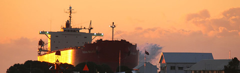 Pasha Bulker at Night Pasha Bulker at Night