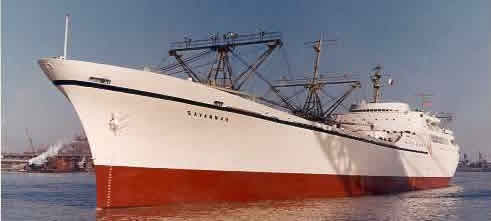 The Nuclear Ship Savannah