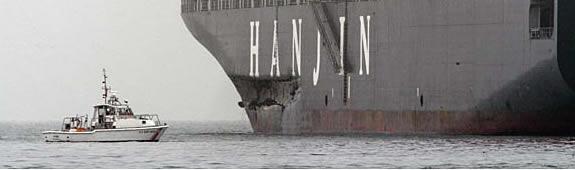 Cosco Busan Damage